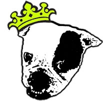 bulldog-icon
